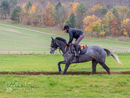 AK181121-59 - Sarsen